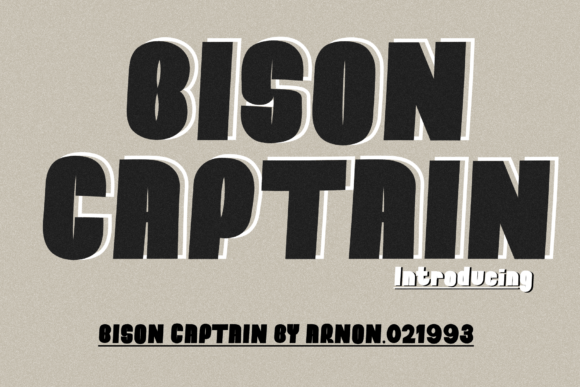 Bison Captain Display Font for Modern Editorial Design