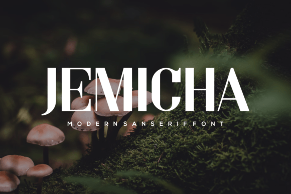 Jemicha Font: A Modern Sans Serif Review